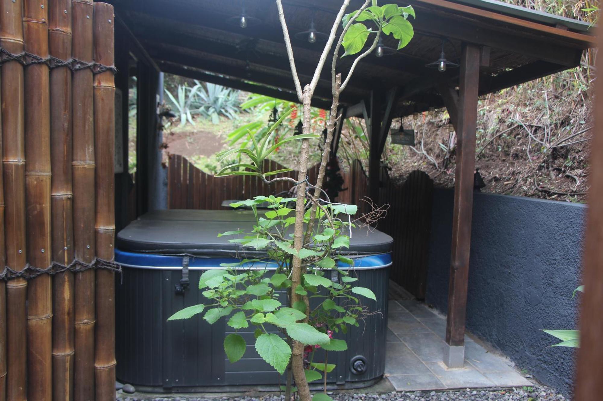 Lodge Le Palissandre à LA LIANE DE JADE 974- jacuzzi privatif - piscine Le Bois de Nefles (La Plaine) Exterior foto